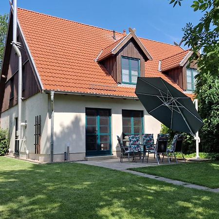 הוילה בורג Ferienhaus Hase מראה חיצוני תמונה